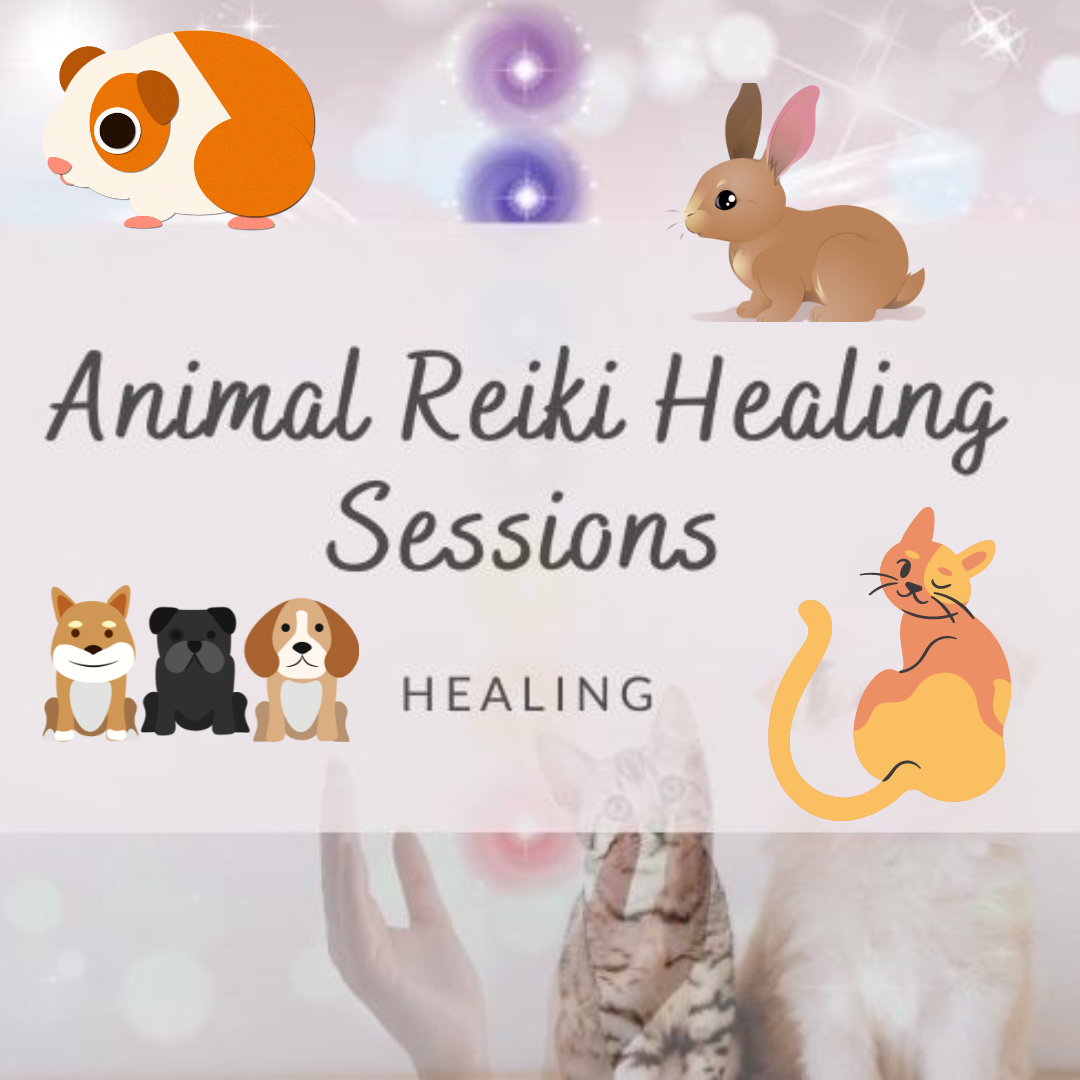 ANIMALS 25 MINUTES DISTANT HEALING SESSION